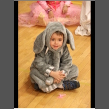 Unable to load Image